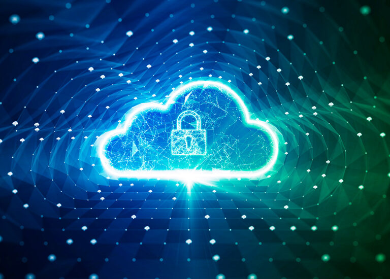 A Detailed Guide to Cloud Vulnerability Management